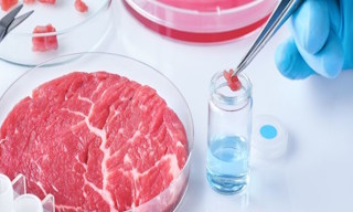 Лабораторный анализ пищевых продуктов по СанПиН в Прохладном в октябре