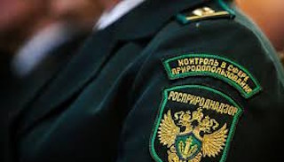 Подготовка к проверке Росприроднадзора в Прохладном от ПромМир-Прх, стоимость услуги от 21666 руб.